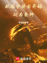 从熔炉骑士开始耐力登神